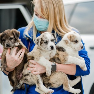 Fundraising Page: Rebecca Shipley